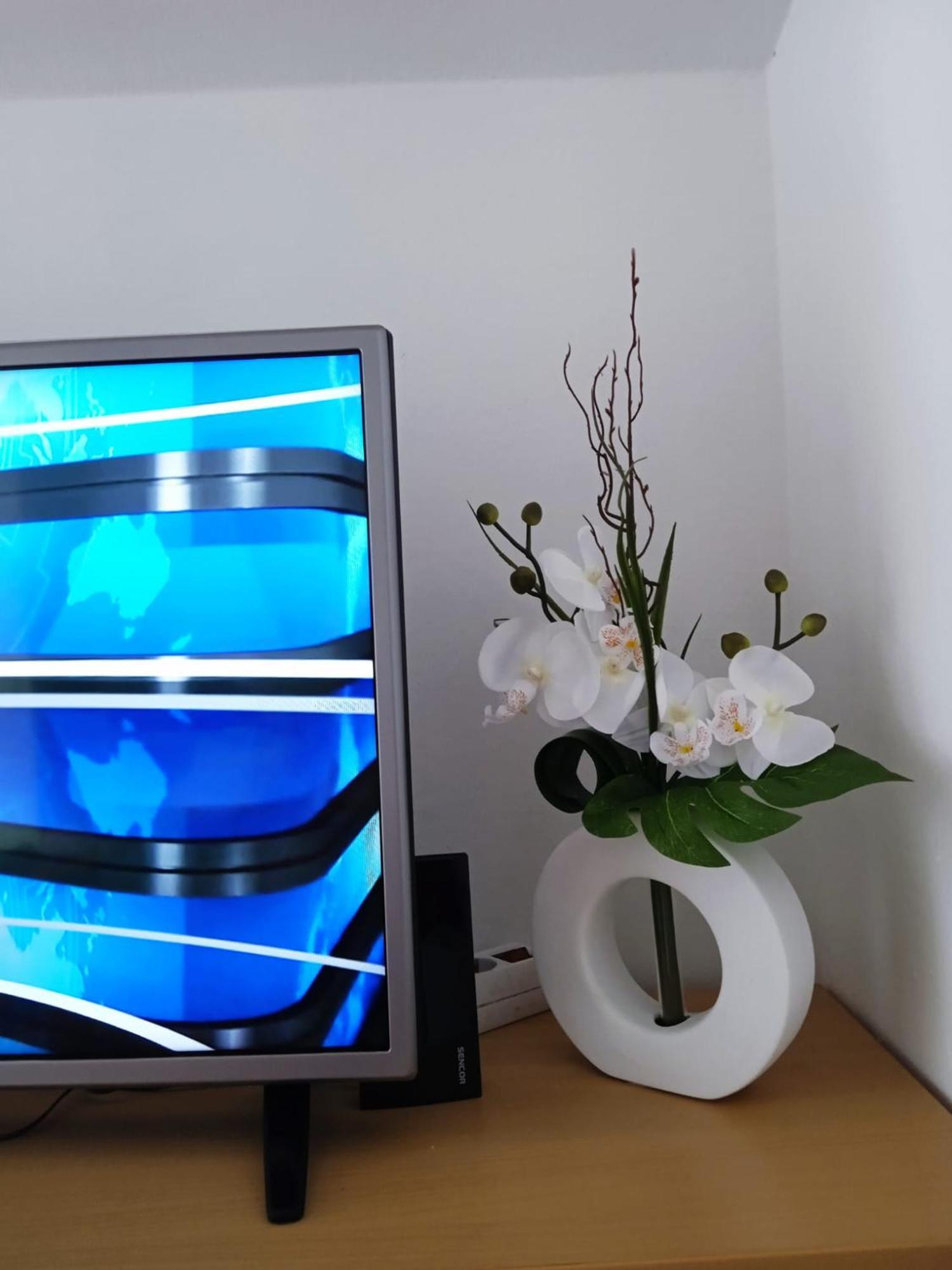Apartament Mala Basina -Maslina Vrbanj Zewnętrze zdjęcie