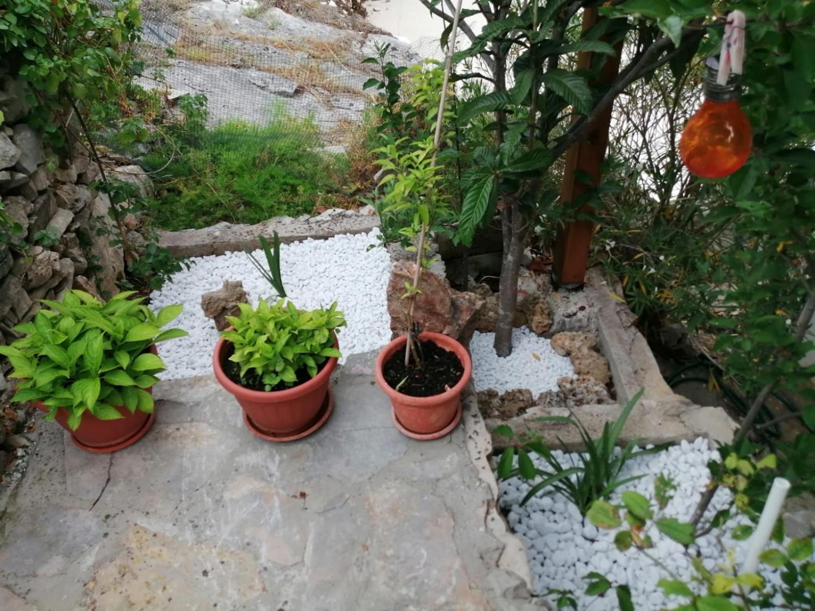 Apartament Mala Basina -Maslina Vrbanj Zewnętrze zdjęcie